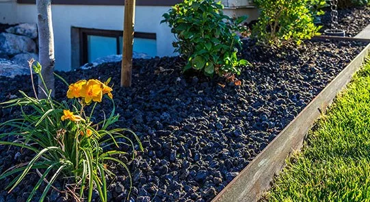 Transform Your Landscape with Black Lava Rock
